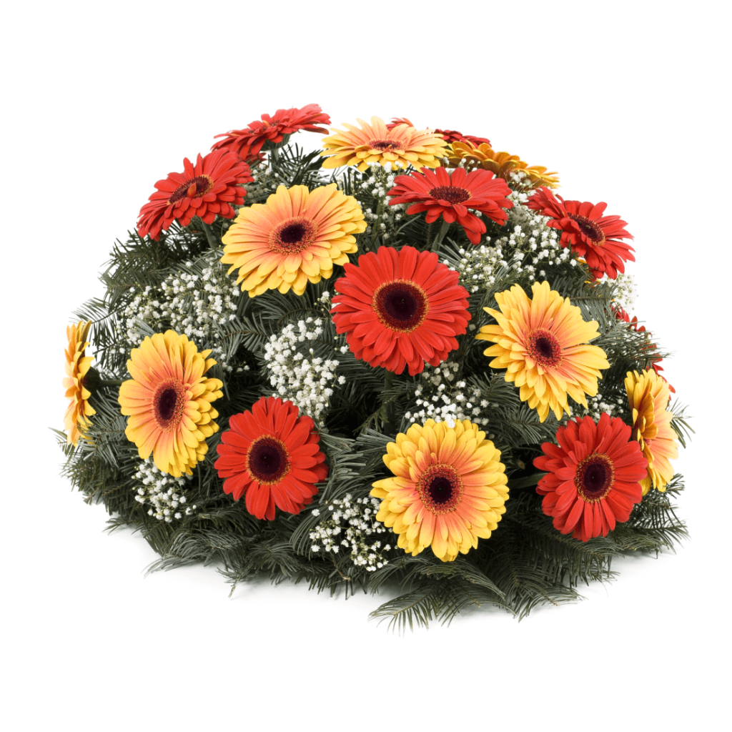 Kytice na položení barevné gerbery žluté a oranžové